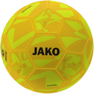 JAKO - Ballon indoor Iconic